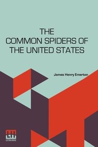 bokomslag The Common Spiders Of The United States