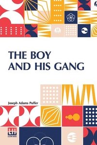 bokomslag The Boy And His Gang