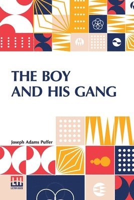 bokomslag The Boy And His Gang