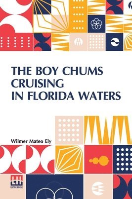 bokomslag The Boy Chums Cruising In Florida Waters