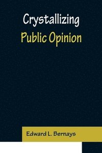 bokomslag Crystallizing Public Opinion