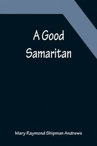bokomslag A Good Samaritan