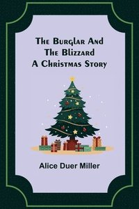 bokomslag Burglar and the Blizzard