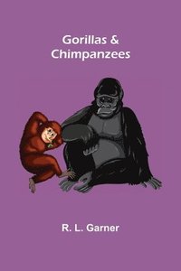bokomslag Gorillas & Chimpanzees