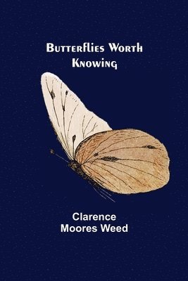 Butterflies Worth Knowing 1