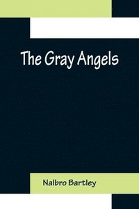 bokomslag The Gray Angels