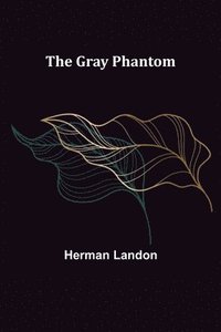 bokomslag Gray Phantom