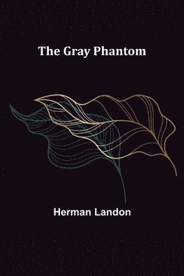 bokomslag Gray Phantom
