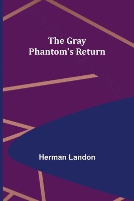 bokomslag Gray Phantom's Return