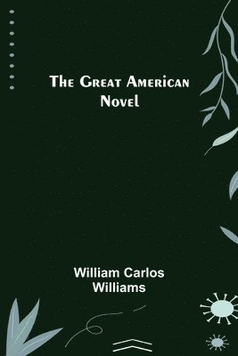 bokomslag The Great American Novel