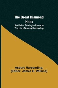 bokomslag The Great Diamond Hoax; And Other Stirring Incidents in the Life of Asbury Harpending