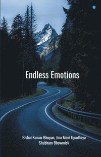 bokomslag Endless Emotions