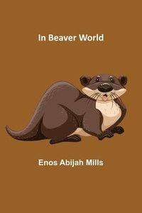 bokomslag In Beaver World