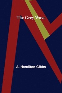 bokomslag The Grey Wave