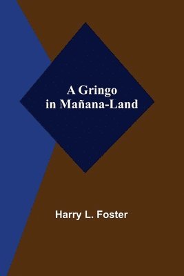 bokomslag Gringo in Mañana-Land