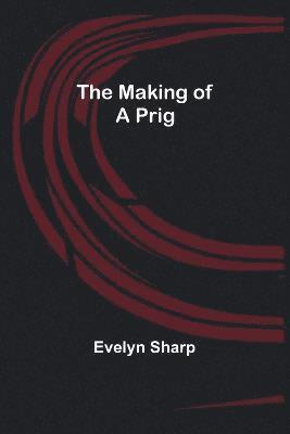 bokomslag The Making of a Prig