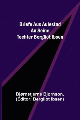 bokomslag Briefe aus Aulestad an seine Tochter Bergliot Ibsen