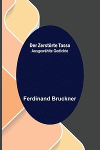 bokomslag zerstörte Tasso