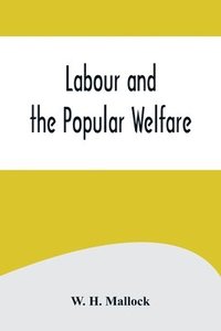 bokomslag Labour and the Popular Welfare