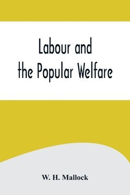 bokomslag Labour and the Popular Welfare