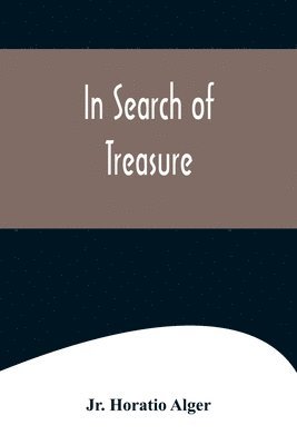 bokomslag In Search of Treasure