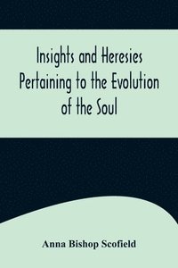 bokomslag Insights and Heresies Pertaining to the Evolution of the Soul