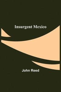 bokomslag Insurgent Mexico