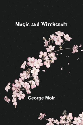 bokomslag Magic and Witchcraft