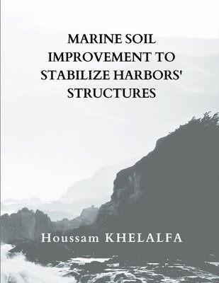 Marine soil improvement To Stabilize Harbors' structures 1