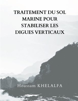 bokomslag Traitement Du Sol Marine Pour Stabiliser Les Digues Verticaux