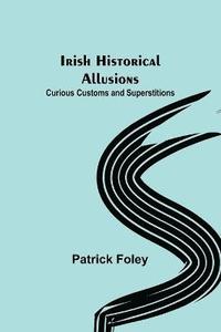 bokomslag Irish Historical Allusions; Curious Customs and Superstitions