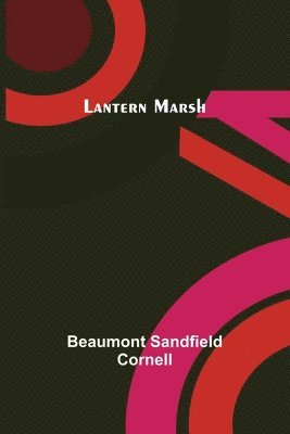 bokomslag Lantern Marsh