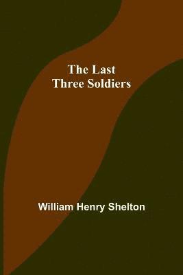 bokomslag Last Three Soldiers