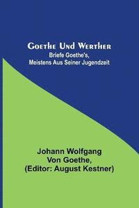 bokomslag Goethe und Werther