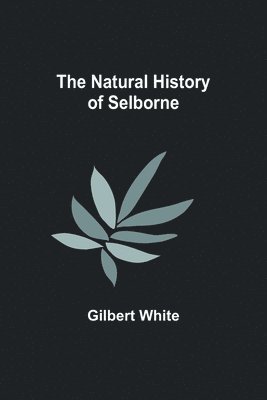 Gilbert White - Natural History of Selborne, Häftad