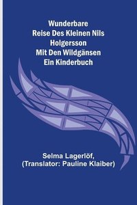bokomslag Wunderbare Reise des kleinen Nils Holgersson mit den Wildgänsen