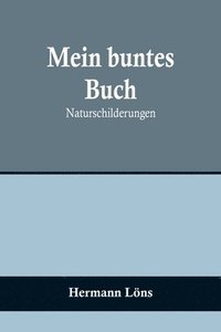 bokomslag Mein buntes Buch