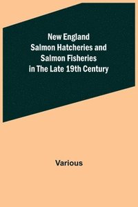 bokomslag New England Salmon Hatcheries and Salmon Fisheries in the Late 19th Century