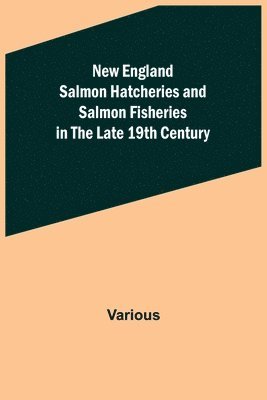 bokomslag New England Salmon Hatcheries and Salmon Fisheries in the Late 19th Century