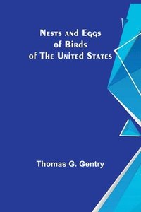 bokomslag Nests and Eggs of Birds of the United States