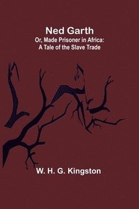 bokomslag Ned Garth; Or, Made Prisoner in Africa