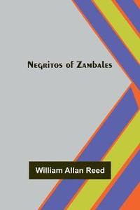 bokomslag Negritos of Zambales