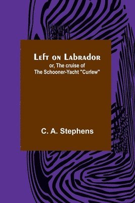 bokomslag Left on Labrador; or, The cruise of the Schooner-yacht "Curlew"