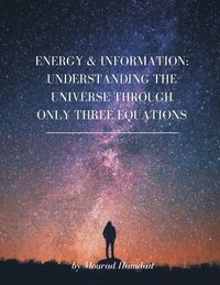 bokomslag Energy & Information