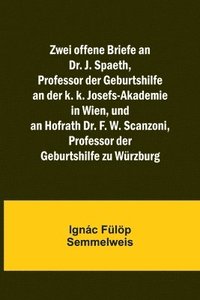 bokomslag Zwei offene Briefe an Dr. J. Spaeth, Professor der Geburtshilfe an der k. k. Josefs-Akademie in Wien, und an Hofrath Dr. F. W. Scanzoni, Professor der Geburtshilfe zu Wrzburg