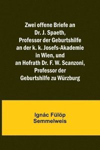 bokomslag Zwei offene Briefe an Dr. J. Spaeth, Professor der Geburtshilfe an der k. k. Josefs-Akademie in Wien, und an Hofrath Dr. F. W. Scanzoni, Professor der Geburtshilfe zu Würzburg