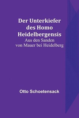 Otto Schoetensack - Unterkiefer des Homo Heidelbergensis, Häftad