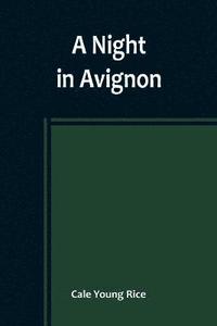 bokomslag Night in Avignon