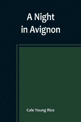 bokomslag Night in Avignon