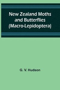 bokomslag New Zealand Moths and Butterflies (Macro-Lepidoptera)